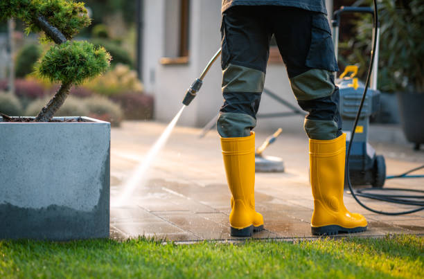 Best Exterior Home Cleaning  in Loretto, PA